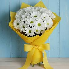 Букет цветов из:  Хризантемы в Андреевской Краснодарского края