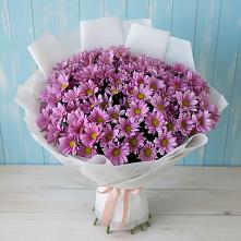 Букет цветов из:  Хризантемы #REPLACE_PRED# Андреевской Краснодарского края