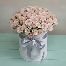 Цветочная композиция из Розы в шляпной коробке #REPLACE_PRED# Андреевской Краснодарского края