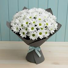 Букет цветов из:  Хризантемы в Андреевской Краснодарского края