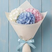 Букет цветов из:  Гортензия в Андреевской Краснодарского края