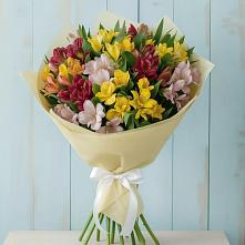 Букет цветов из:  Альстромерии #REPLACE_PRED# Андреевской Краснодарского края