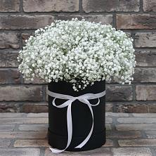 Цветочная композиция из Гипсофила в шляпной коробке в Андреевской Краснодарского края