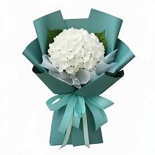 Букет цветов из:  Гортензия в Андреевской Краснодарского края